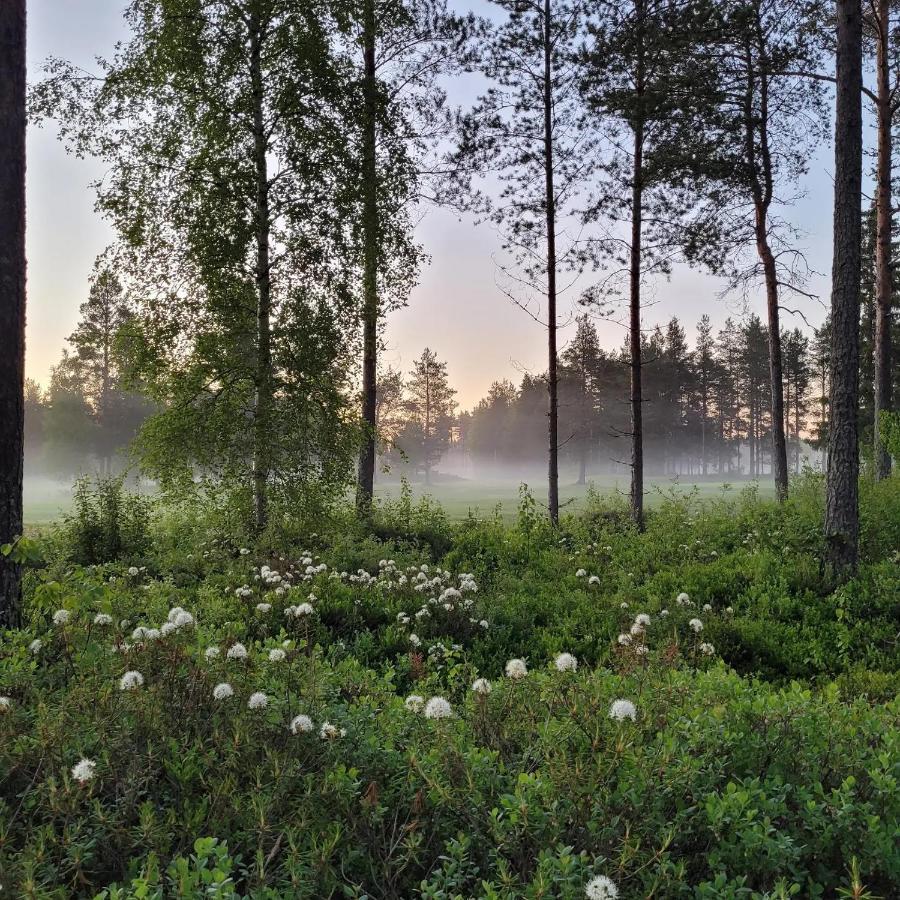 Siikavilla, Siikajoki Exteriér fotografie