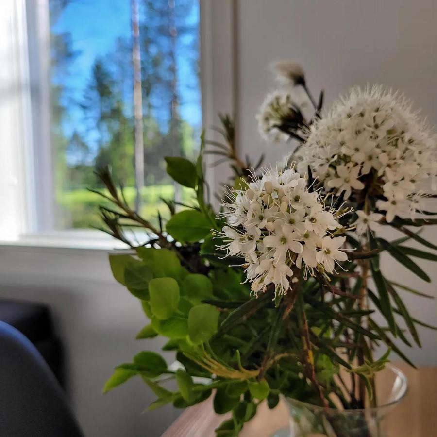 Siikavilla, Siikajoki Exteriér fotografie